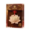 Colgante Difusor de Piedra para Aromaterapia con Yeso Hojas Aromáticas Regalo Aromaterapia para Armario Fragancia Colgante Aromaterapia Caja de Regalo para el Hogar