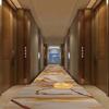 Alfombra de Pasillo de Hotel Nuevo Estilo Chinoiserie Impresión de Nylon 800g Engrosada Ignífuga B1 Resistente a Manchas en el Suelo Alfombra de Pasillo