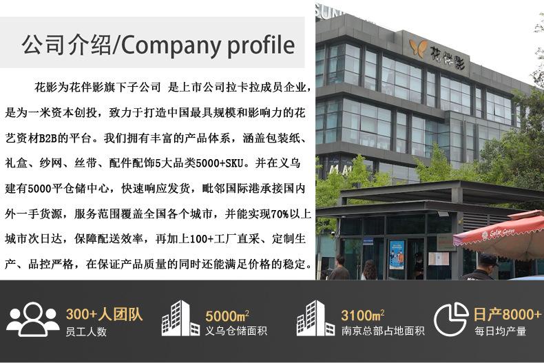 公司介绍.jpg