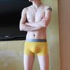 Ropa interior de seda helada para hombre, venta al por mayor, ajustada, sin costuras, de color sólido, ultrafina, sexy, transpirable, M497