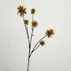 Conteniendo Simulación Yang 6 Cabezas Árbol Camptotheca Flor Artificial Agua Flor de Tung Rama Única Castaña de Agua Decoración del Hogar Diseño Floral
