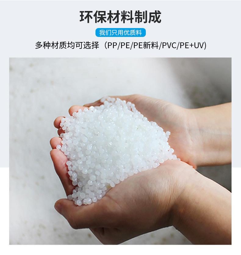 蓝桔_08.jpg