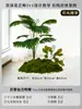 Musgo para Paisajismo de Plantas Verdes Plantas Artificiales Decoración Flores Artificiales Combinación Tropical para Interiores Paisaje de Ventana Persa Arreglo de Césped