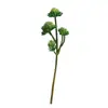 Mini Planta Suculenta Artificial Única Suculenta Falsa Flor Artificial Adorno de Micro Paisaje Oficina Planta Verde Real Artificial Alto