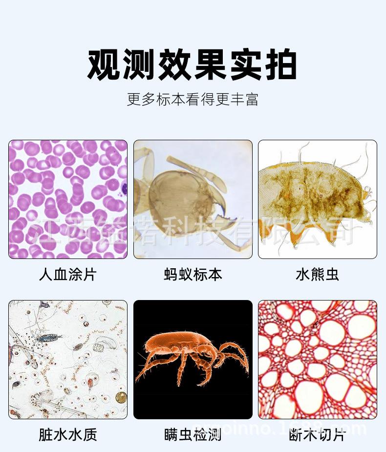 显微镜详情_05.jpg