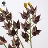 Ventas Directas de Fábrica Orquídeas Artificiales Orquídeas Eva Urraca y Orquídeas Mil Pájaros para Paisajismo, Arreglos Florales de Boda, Muestras de Decoración del Hogar