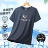 Camiseta de Verano Transpirable Fina de Malla de Seda Helada para Hombre de Comercio Exterior, Manga Corta, Talla Grande Holgada, Camiseta Deportiva Casual para Hombre