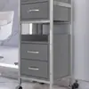 Carrito de Herramientas Especiales para Salón de Peluquería, Carrito para Tienda de Peluquería, Estante de Almacenamiento, Carrito de Almacenamiento de Metal para Barbería Sin Instalación