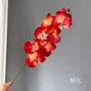 8 Cabezas de Orquídeas Phalaenopsis para Decoración de Boda, Arreglo Floral para la Habitación de Boda, Orquídeas Phalaenopsis Morandi