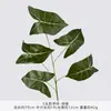 5 folhas artificiais coloridas de taro, plantas verdes falsas, folhagem artificial para paisagismo externo, decoração de casa, materiais florais para casamento atacado