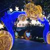Arco de Luz LED para Exterior con Forma de Copo de Nieve, Luz de Paisaje, Espectáculo de Luces de Túnel de Tiempo, Iluminación Festiva Brillante