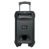 Altavoz de Karaoke Popular de Fabricante de 12 Pulgadas y 40W para Celebraciones Comunitarias, Karaoke Bluetooth con Micrófono