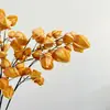 Flor de Linterna Flor Artificial Fruta de Espuma Boda Popular Ins Escandinavo Arreglo Floral Decoración del Hogar Fruta de Linterna Fruta de Ceiba
