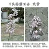 Novo Produto Transfronteiriço: Lírio Artificial Multi-Cabeça com 9 Cabeças, Adequado para Decoração de Corredor de Casamento, Decoração de Casa e Adereços de Fotografia, Flores Artificiais para Atacado