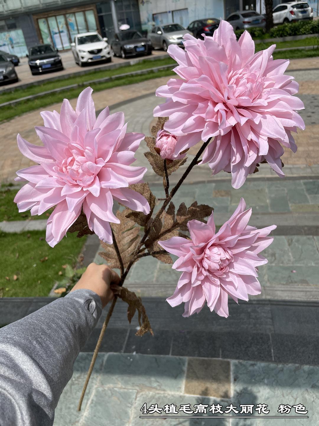微信图片_20210519182312_副本.jpg