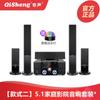 Qisheng 5.1 Audio para Teatro en Casa Cantante KTV Karaoke Set Sala de Estar Bluetooth Inalámbrico Surround