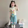 Conjunto de Verão com Manga Curta para Meninas 2026 Novo Estilo Moda de Verão Estilosa Infantil Calça Lanterna para Bebê Menina Conjunto de Duas Peças Estilo Fino