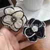 Cortina de Gasa Cortina Colgante Decoración Accesorios Estilo Pequeño Vintage Clavos Perlas Broche de Flor Adorno Joyería Pequeña Estilo Lujo Ligero