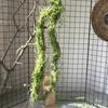 Galho de videira de árvore artificial Banyan trepadeira e para colocar Musgo videira seca musgo falso paisagem parede Mori pendurado decoração floral