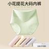 Ropa interior de algodón puro antibacteriana para mujer de talla grande 100 kg, de cintura alta, no apretada, 10 A, amigable con la piel