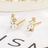 Simples pequeno Pérola Zircon brincos feminino Estrela do Norte nicho design moda comutador diário requintado francês elegante