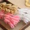 Buntail ramo de flores secas estilo Ins bolsa decorativa de flores secas ramo cola de perro flor seca color macarrón cola de conejo