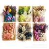 [Paquete de Materiales A5 en Relieve] Flores Secas Flor Eterna Marco de Fotos Paquete de Materiales en Relieve Material Floral DIY Vela de Aromaterapia Flores Secas