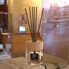 Fabricante Venta al por Mayor Palitos de Fibra Negros con Buen Efecto de Evaporación, Accesorios de Aromaterapia de Alta Gama, Palitos de Aromaterapia Desodorizantes para Interiores