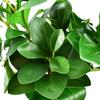 Hoja de Milán hojas flor artificial hogar mayoreo decoración familiar boda camino guía pared de flores planta de pared flor falsa suministros de jardinería