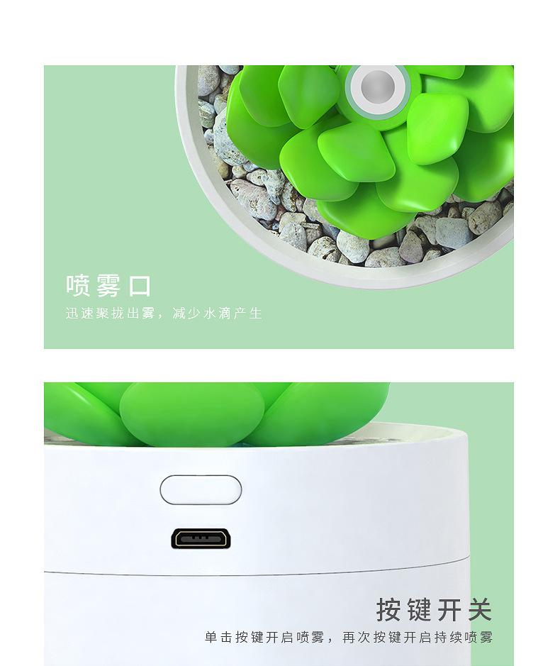 多肉加湿器_11.jpg