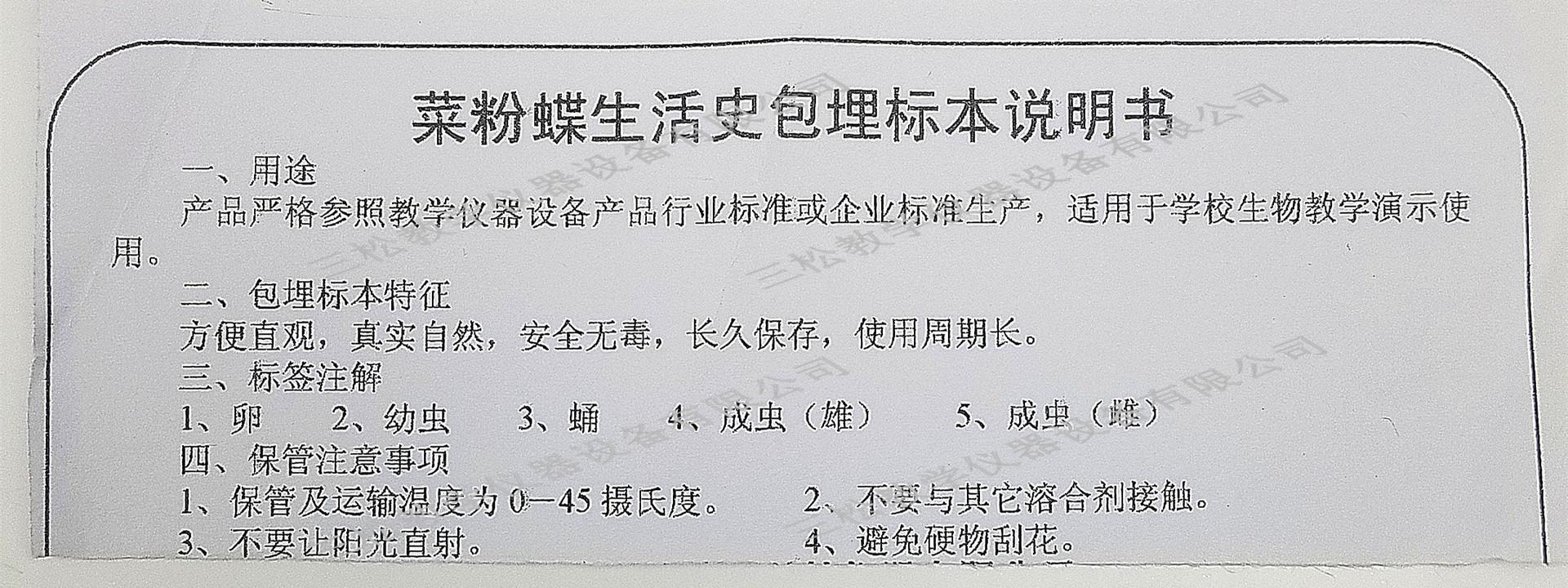 菜粉蝶生活史包埋标本说明书_副本