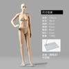 Manequim de Loja de Roupas Adereços Manequins Masculinos e Femininos Estilo Tom de Pele com Base Corpo Inteiro Manequim Humano Suporte Adereços de Exibição