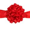 Gran baile de flores rojas, coche, entrega de coche nuevo, ceremonia de apertura, corte de color, exhibición de autos, boda de hortensias rojas, reconocimiento de premios, Gran baile de flores