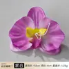 Renderizado a Color de Simulación Cabeza de Flor de Phalaenopsis Pinza para el Cabello de Viaje Tocado Recuerdo Combinación Pinza para el Cabello Hanfu Sombrero de Flor para Erudito Guirnalda de Flores