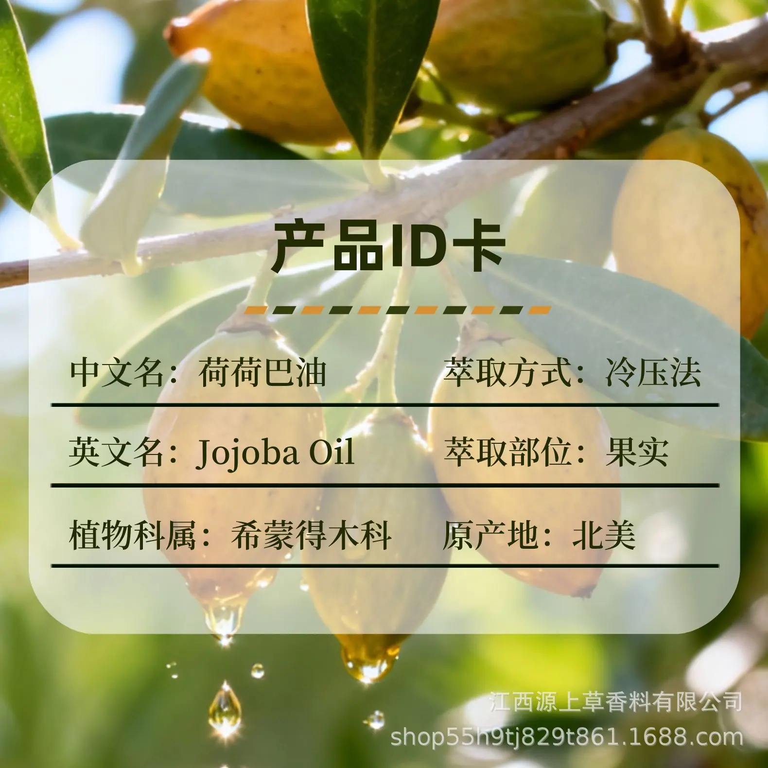荷荷巴油id (1).png