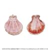 Colgante de Concha Natural Material Galvanizado Hecho a Mano DIY Aretes Campana de Viento Adornos Colgantes Colgante Creativo Hecho a Mano