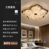 Lámpara de Techo para Dormitorio Estilo Wabi-Sabi Vintage con Pan de Oro, Lujoso Diseño Floral Protector de Ojos, Luz de Techo Retro de Resina para Dormitorio Principal