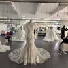 Vestido de Novia de Encaje de Alto Gama con Escote en V Profundo, Mangas Largas Bordadas a Mano y Cola de Pez, Vestido de Novia de Fábrica de Vestidos de Novia de Comercio Exterior