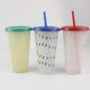 Venda Direta da Fábrica Copo de Água Plástico de Grau Alimentício Grande Capacidade 600ml com Tampa e Canudo Copo para Suco e Chá de Leite, Portátil