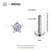 Pendientes Lanbo F136 de Aleación de Titanio G23 Joyería para Oreja de Titanio Diamante Único Estrella Grande Accesorio Joyería para Piercing Corporal Partes Transfronterizo