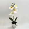 Orquídea Phalaenopsis Artificial Planta en Maceta de 4 Flores Set Adorno Decorativo para Sala de Estar Decoración de Planta en Maceta de Orquídea Phalaenopsis Planta Artificial