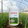 Bactericida de Cebola, Gengibre e Alho, Fungicida Microbiano Resistente a Doenças Especificamente para Cebolinha, Eficaz Contra Folhas Amareladas e Podridão das Raízes