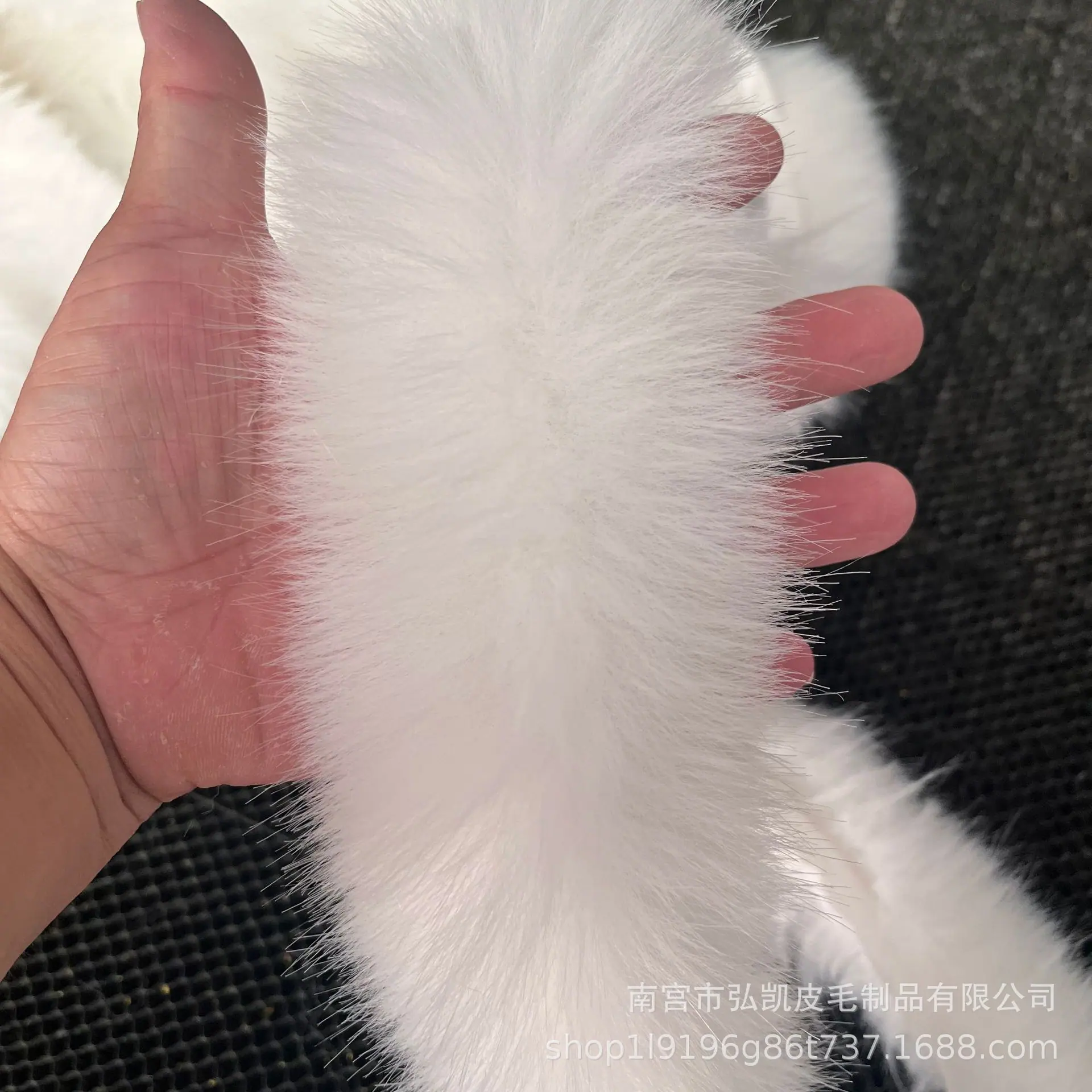 微信图片_20250721161705.jpg