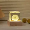 Nova Bola de Cristal de Dente-de-leão Transfronteiriça Luminosa Luz Noturna Flor Eterna Ornamento Decorativo Decoração de Mesa Presente de Aniversário