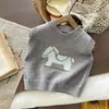 Chaleco de Punto Nuevo para Mujer con Pelo de Poni para Primavera y Otoño 2026, Camisa de Punto sin Mangas Suelta Versátil Juvenil