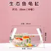 Aquário de Vidro Redondo para Mesa de Escritório Pothos Hidropônico Casa Peixes Pequenos Criativo Transparente Pequeno Mini Aquário de Tartaruga para Desktop