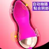 Masturbador Feminino Vibrador Sem Fio de Longa Duração Controle Remoto Brinquedo Pênis Falso Produtos para Adultos Dropshipping Silicone