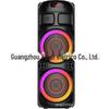 Zqs8251 Fabricante Alto-falante Bluetooth Duplo de 8 polegadas Marquesina Alto-falante de Alta Potência Dança Quadrada Karaokê Subwoofer