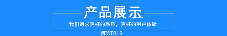 10993100521_18376673_副本
