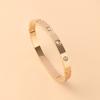 Pulseira de Aço Titânio Moda Transfronteiriça para Mulheres com Dez Diamantes, Fecho Total de Botão, Pulseira de Aço Inoxidável com Cravações Totais de Diamante, Joias para Atacado